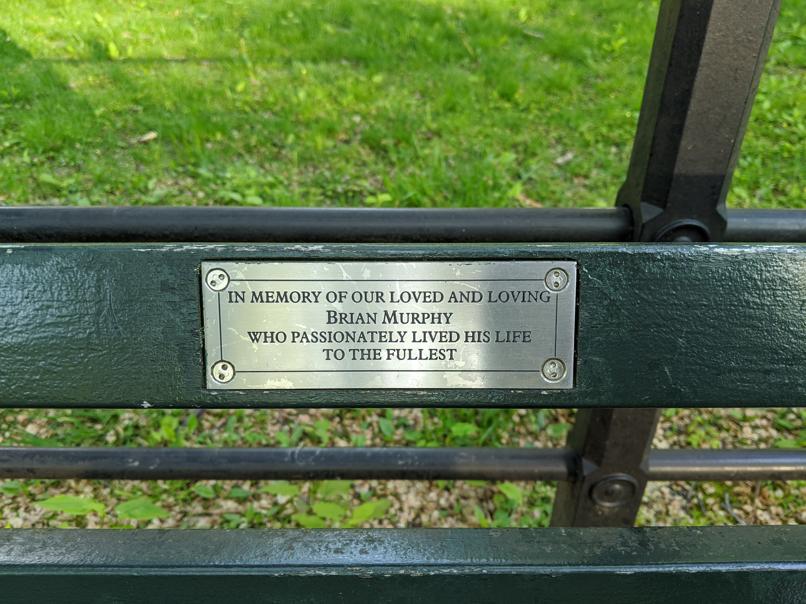 I saw this bench in Central Park