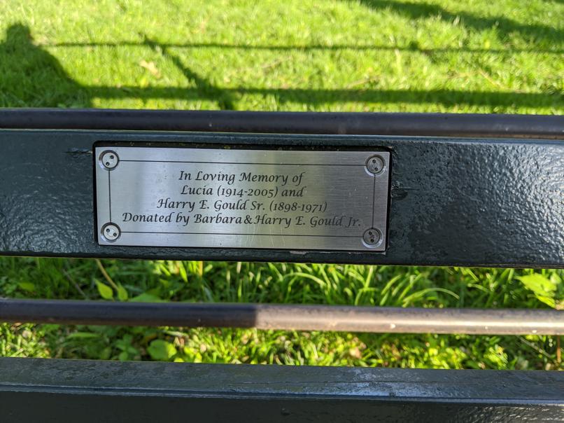 I saw this bench in Central Park