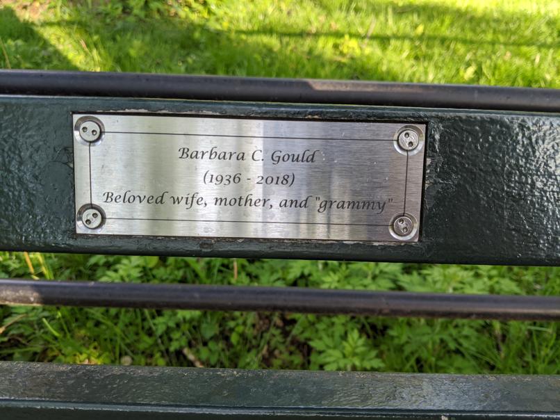 I saw this bench in Central Park