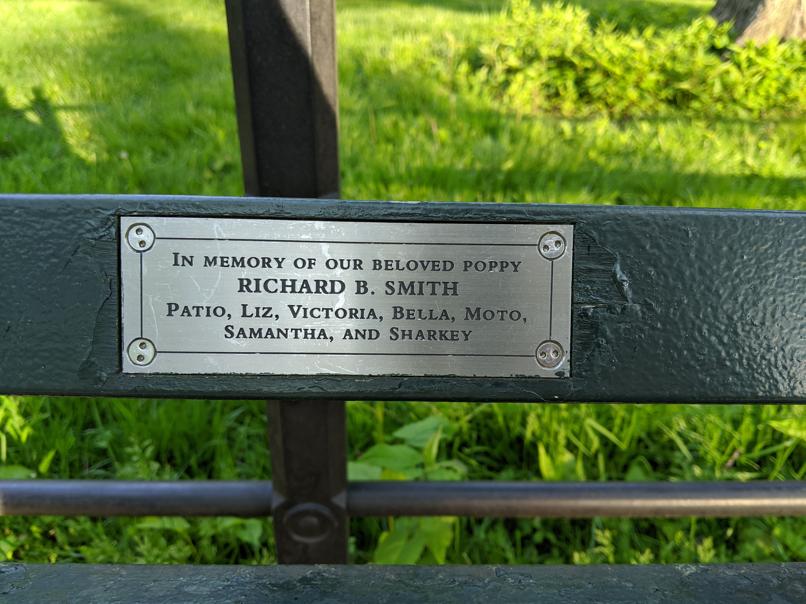 I saw this bench in Central Park