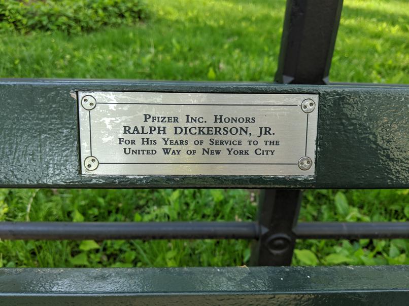 I saw this bench in Central Park