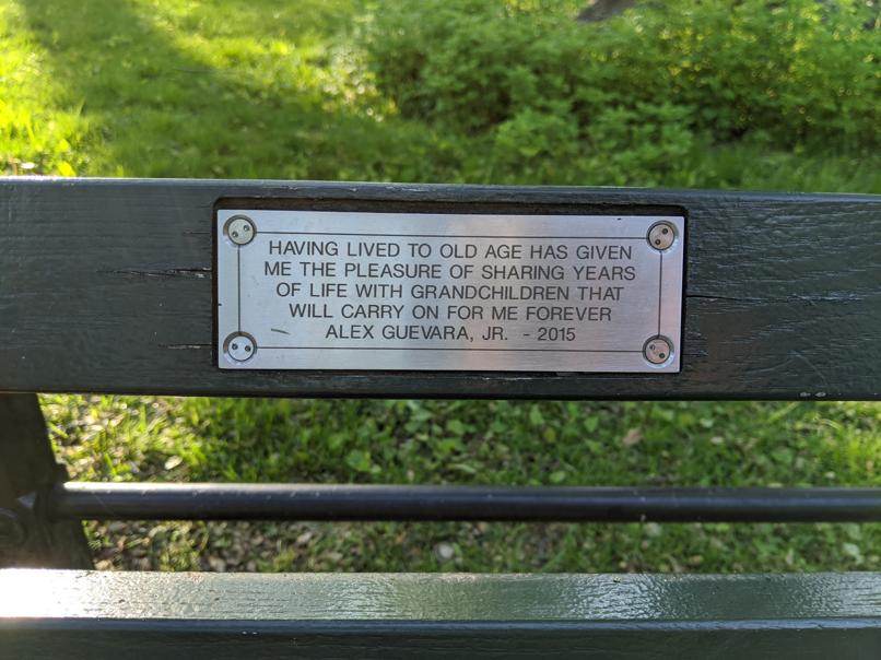 I saw this bench in Central Park