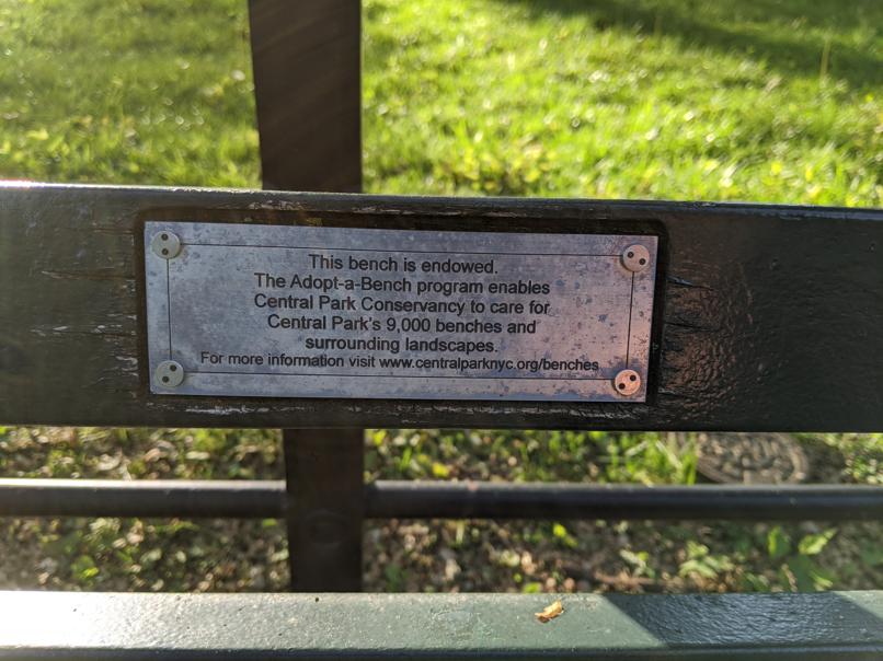 I saw this bench in Central Park