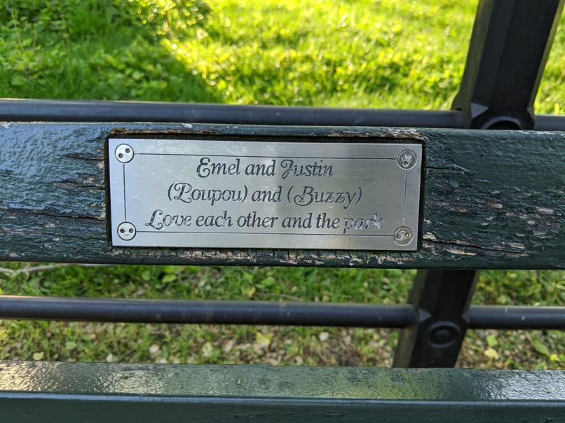 I saw this bench in Central Park