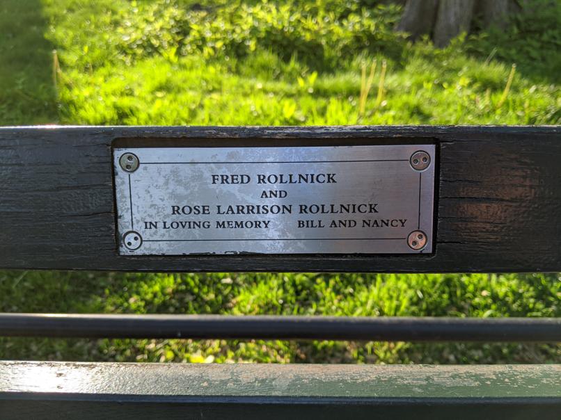 I saw this bench in Central Park