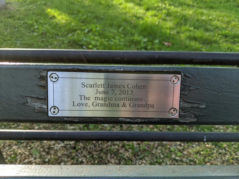 I saw this bench in Central Park