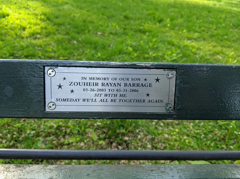 I saw this bench in Central Park