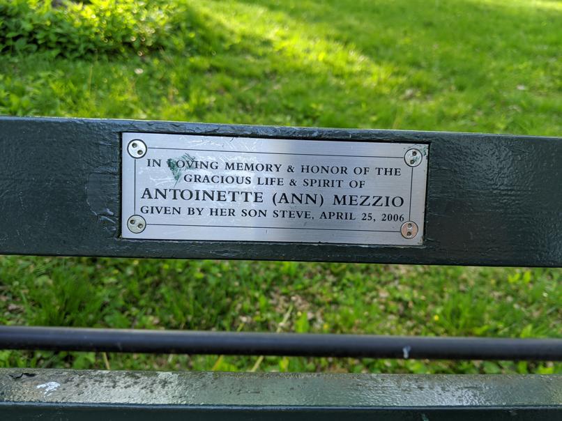 I saw this bench in Central Park