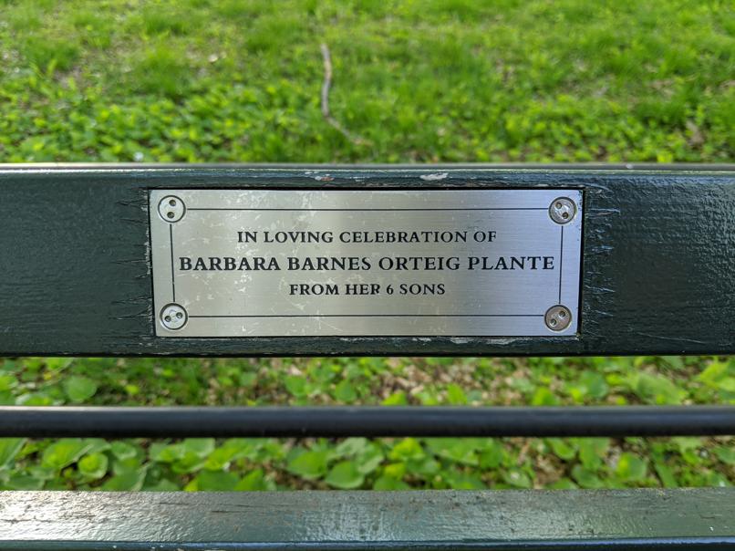 I saw this bench in Central Park