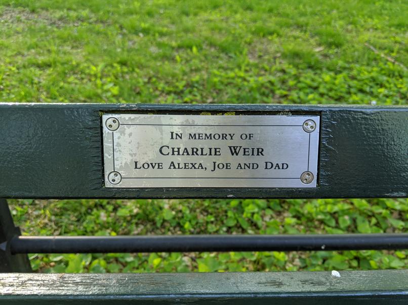 I saw this bench in Central Park