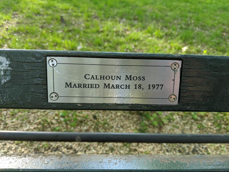 I saw this bench in Central Park