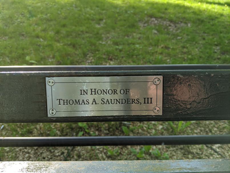 I saw this bench in Central Park