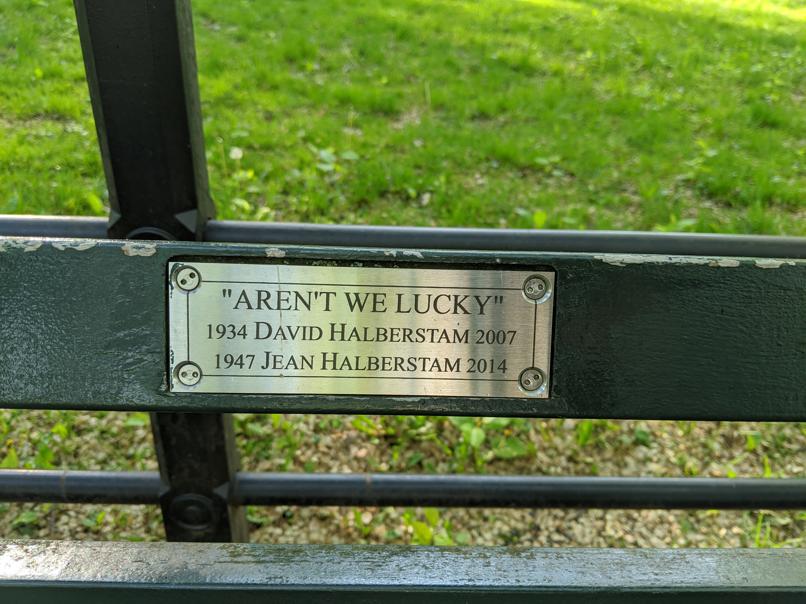 I saw this bench in Central Park