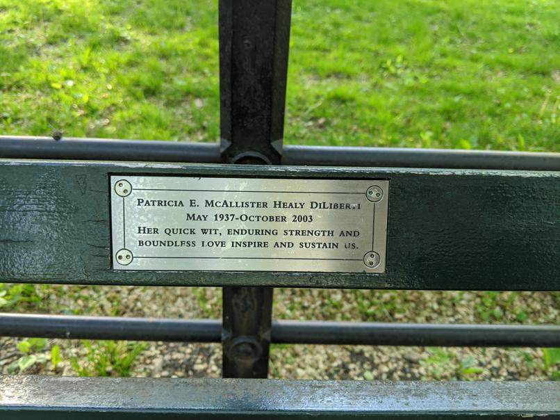 I saw this bench in Central Park