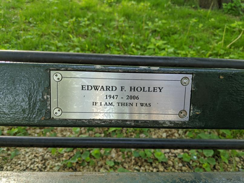 I saw this bench in Central Park