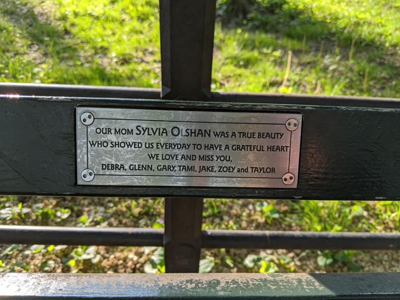 I saw this bench in Central Park