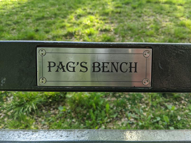 I saw this bench in Central Park