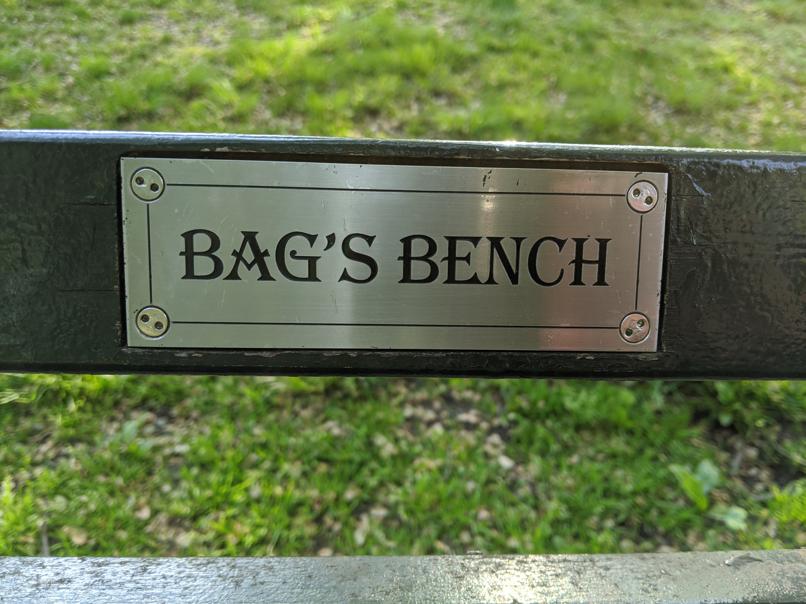 I saw this bench in Central Park