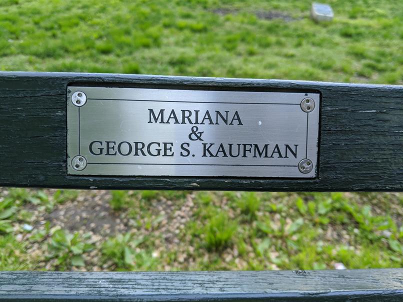 I saw this bench in Central Park