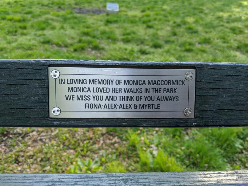 I saw this bench in Central Park