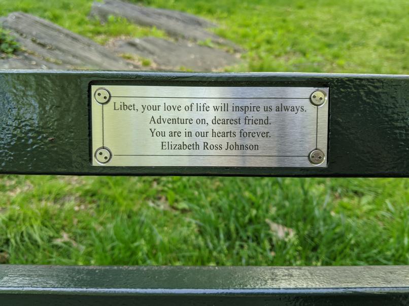 I saw this bench in Central Park