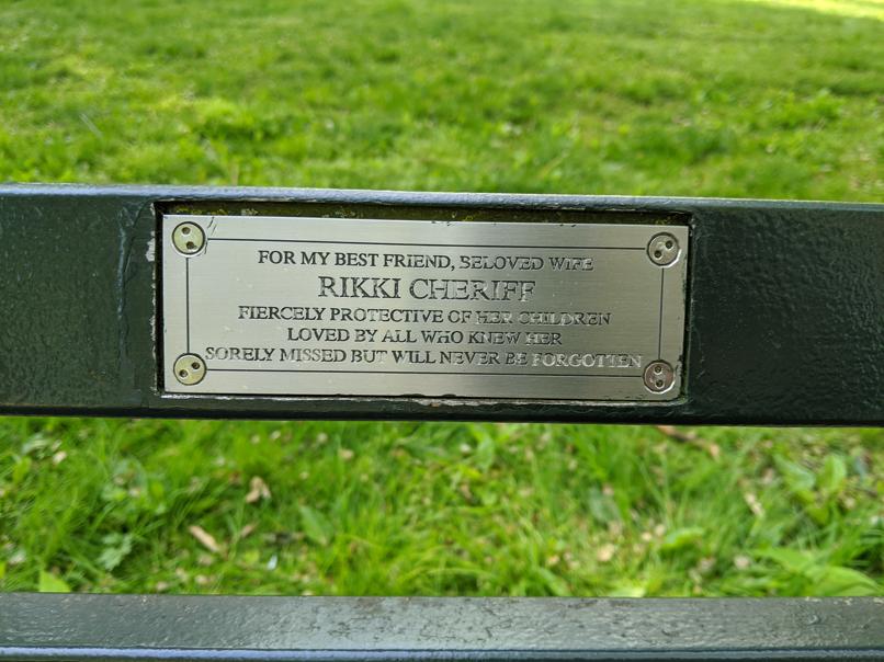 I saw this bench in Central Park