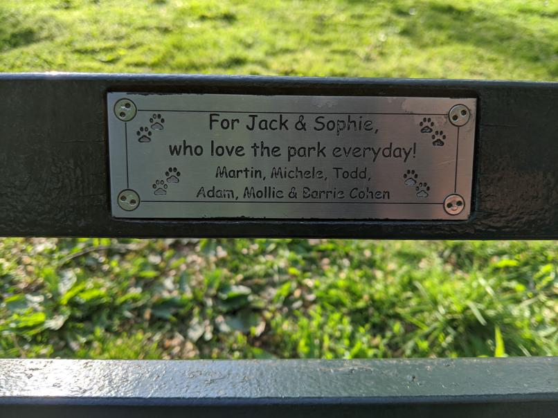 I saw this bench in Central Park