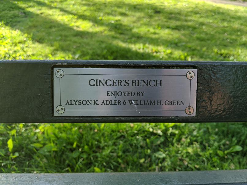 I saw this bench in Central Park