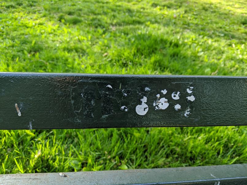 I saw this bench in Central Park