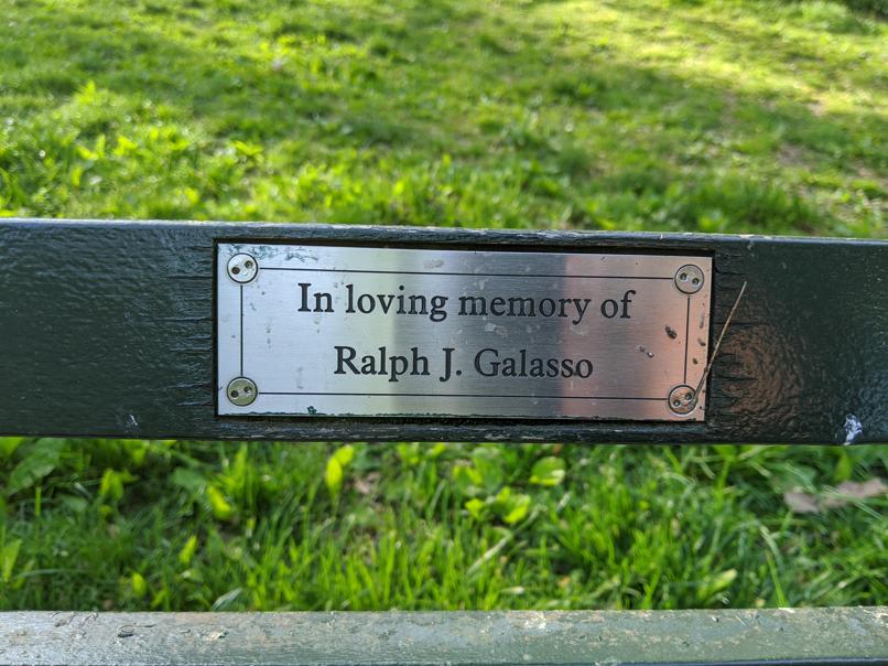 I saw this bench in Central Park