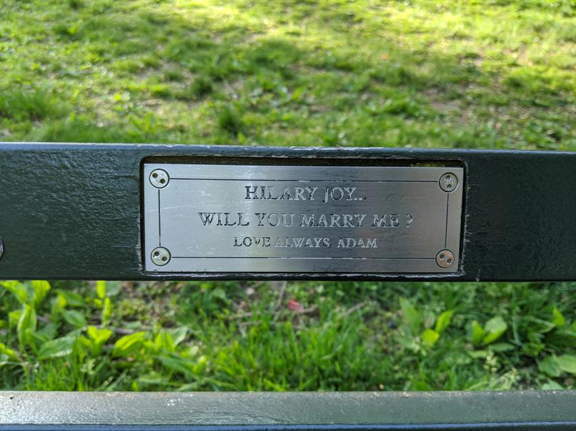 I saw this bench in Central Park