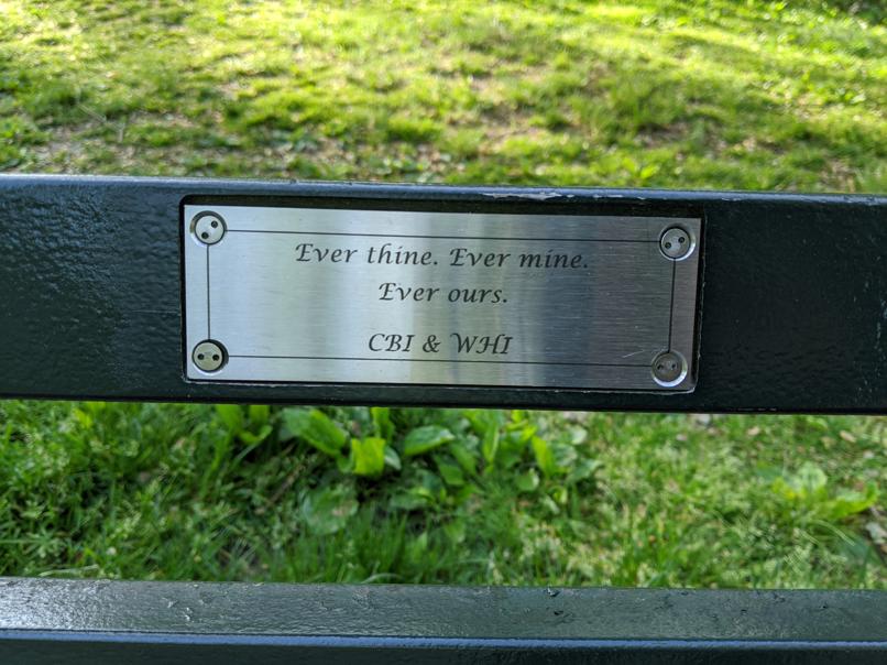 I saw this bench in Central Park