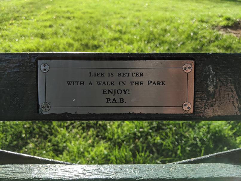 I saw this bench in Central Park