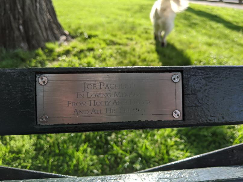 I saw this bench in Central Park