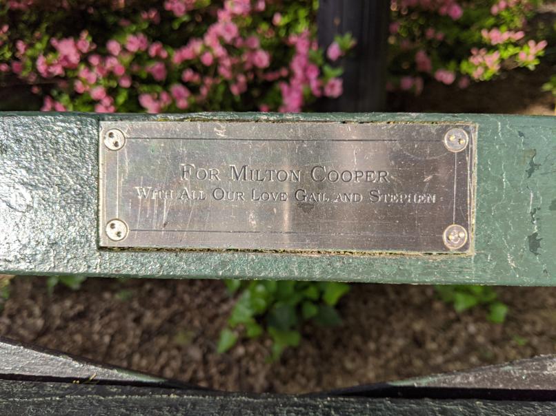 I saw this bench in Central Park