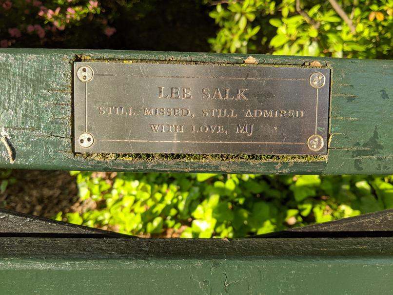 I saw this bench in Central Park