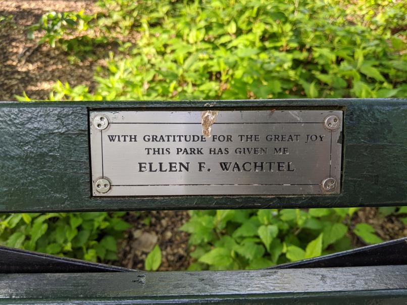 I saw this bench in Central Park