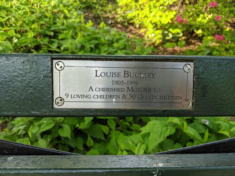 I saw this bench in Central Park