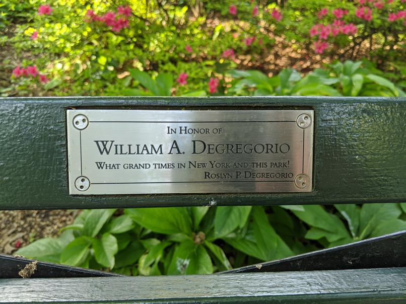 I saw this bench in Central Park