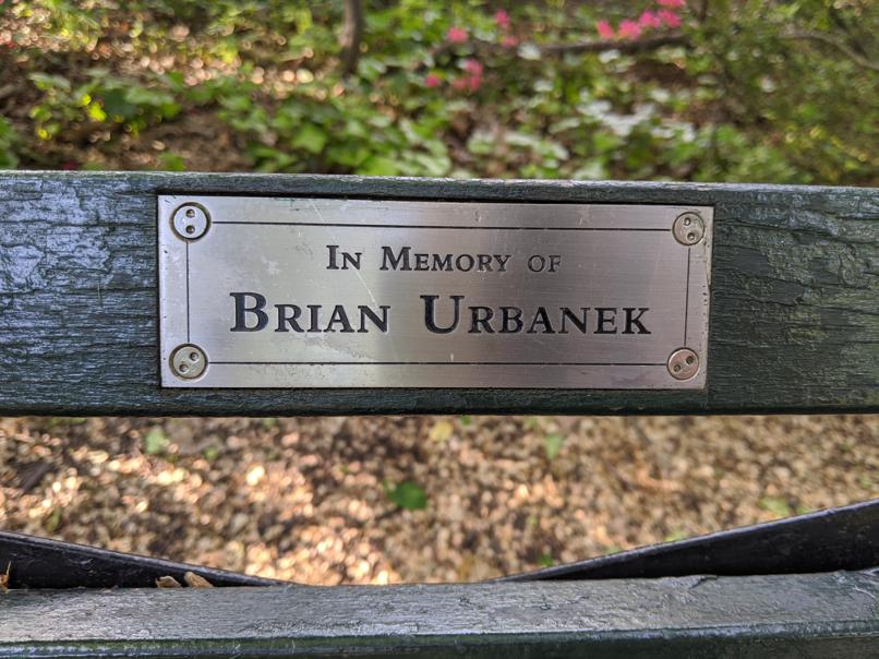 I saw this bench in Central Park