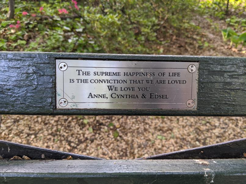 I saw this bench in Central Park