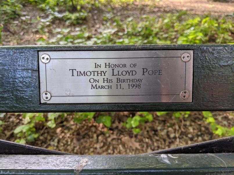 I saw this bench in Central Park