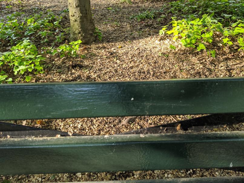 I saw this bench in Central Park