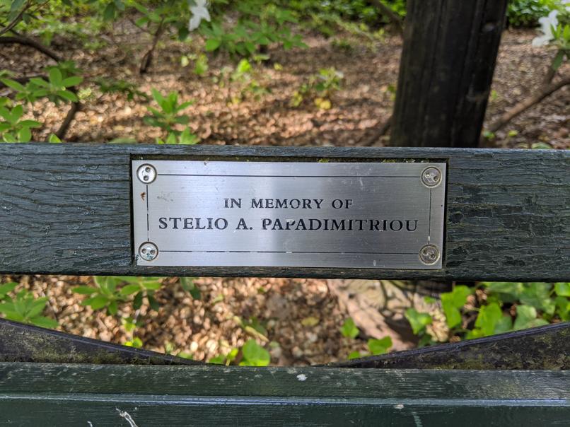 I saw this bench in Central Park