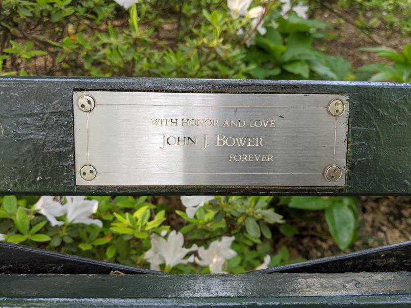 I saw this bench in Central Park