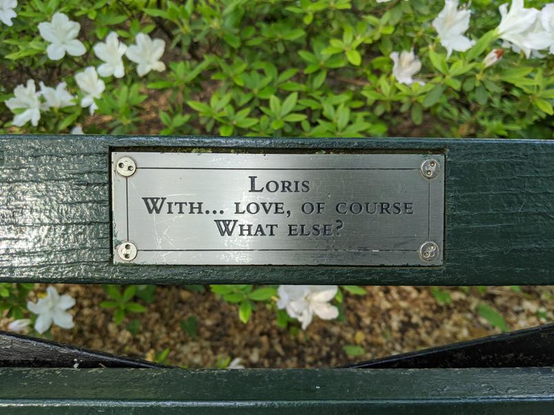 I saw this bench in Central Park