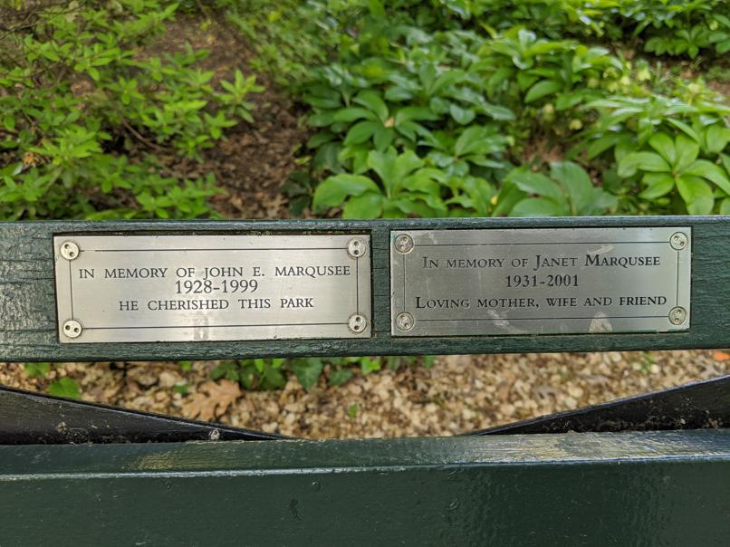 I saw this bench in Central Park