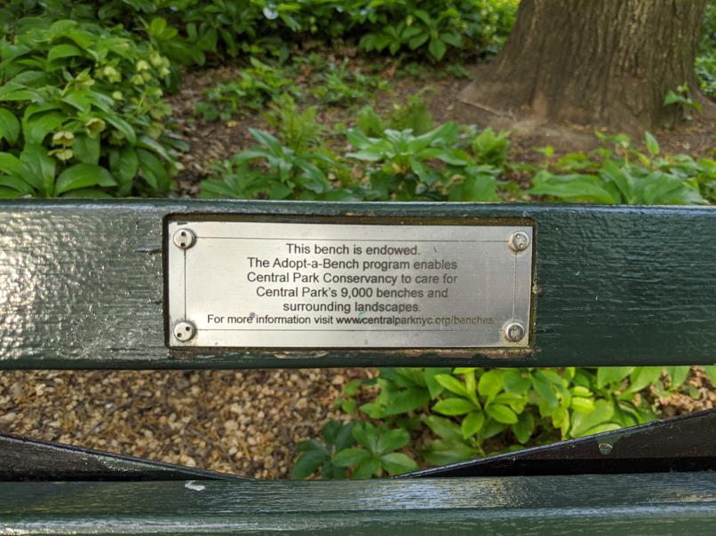 I saw this bench in Central Park