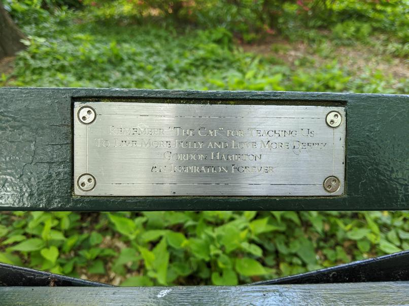 I saw this bench in Central Park