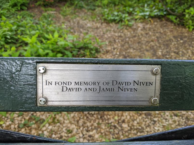 I saw this bench in Central Park